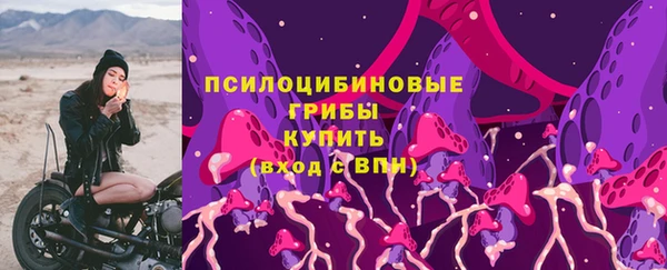 героин Алексин